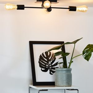 Alternative view of Candeeiro Lester