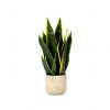 Planta 45cm