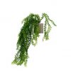 Planta 53cm